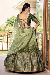 designer collection
