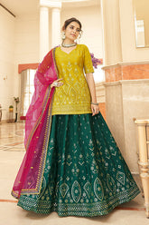 Embroidered Lehenga Choi