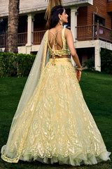 Sequins lehenga choli