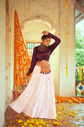 Navratri Crop-Top Skirt