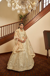 Bridal Embroidered Lehenga Choli