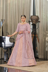 Embroidered Lehenga Choli