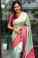 sequence saree