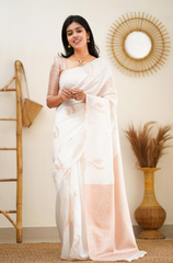 Banarasi Soft Silk Sarees