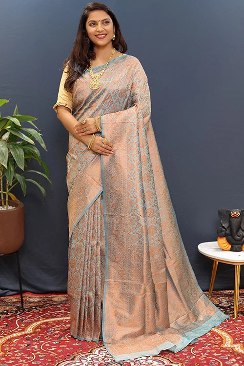 Elegant saree