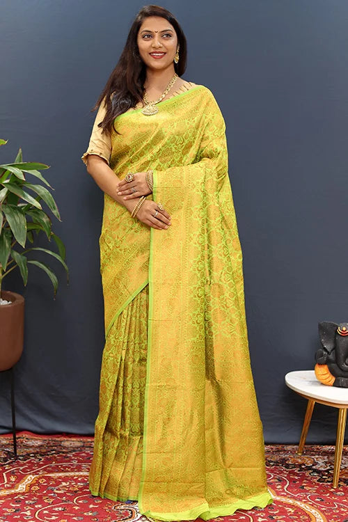 Party wear saree