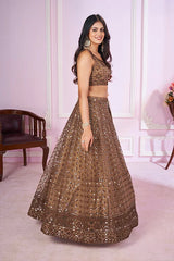 brown Designer  Lehenga Choli