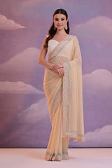 Chiku Designer Saree with Sirovski