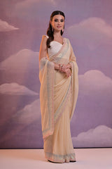 Chiku Saree with Swarovski Border