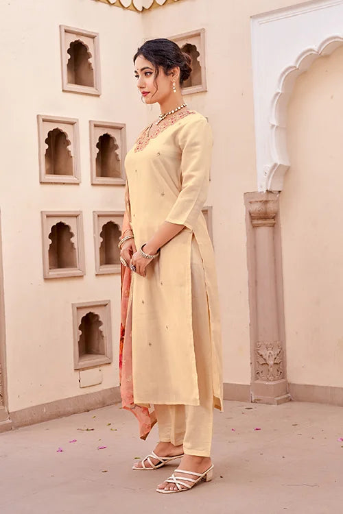 Embroidered Chanderi dress