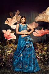 Blue Lehenga Choli