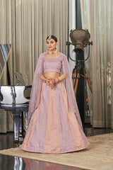 Embroidered  Lehenga Choli