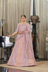 Embroidered  Lehenga Choli