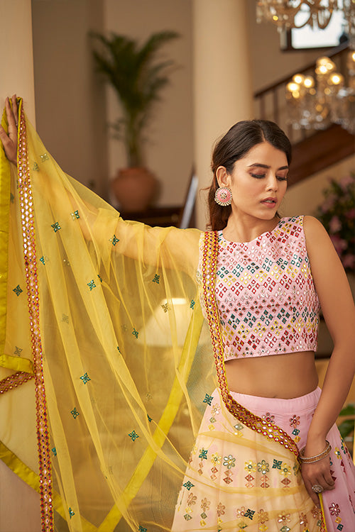 Embroidered Lehenga Choli